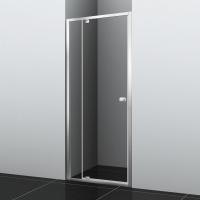 Душевая дверь WasserKRAFT 11P12, хром, прозрачный, глянцевая, 190 см