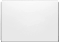 Боковой экран для ванны Ravak Formy 01/Formy 02/Campanula II/Domino Plus 80 U белый