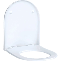 Сиденье для унитаза, верхнее крепление Geberit Acanto 500.604.01.2