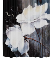 Штора для ванной WasserKraft Ammer SC-70102