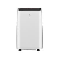 Мобильный кондиционер cерии LARGO PRO RM-LP50CN-E