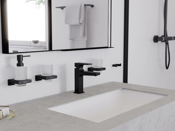 Двойной крючок Hansgrohe AddStoris 41755000 Хром