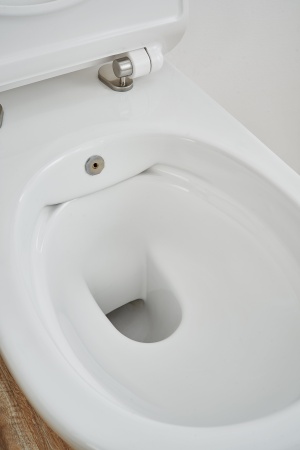 Унитаз SSWW CT2039V-B (550*365*330) подвесной БЕЗОБОДКОВЫЙ с тонкой крышкой, с функцией биде, 1 мест