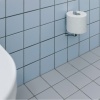 Держатель запасного рулона Kludi Ambienta 5397205 Хром