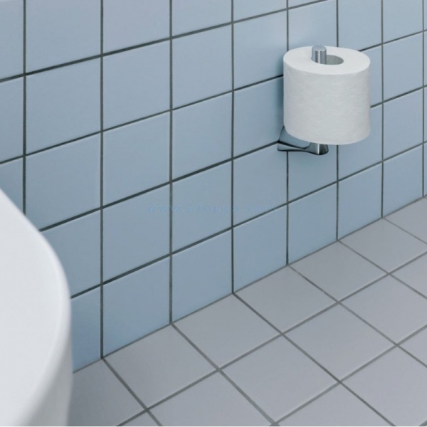 Держатель запасного рулона Kludi Ambienta 5397205 Хром