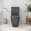 Унитаз GR-4480GMS Color (620*365*810) СЕРЫЙ МАТОВЫЙ напольный БЕЗОБОДКОВЫЙ с тонкой крышкой, 2 места