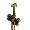 214000000 Option, смеситель монтируемый в стену, с гиг.душем, бронза