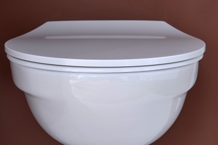 Сиденье для унитаза Jacob Delafon Patio E23157-00 Белое с микролифтом