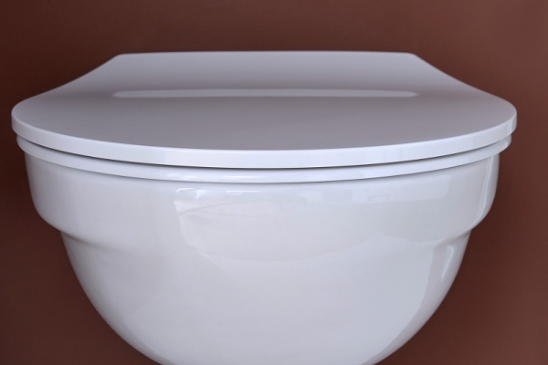 Сиденье для унитаза Jacob Delafon Patio E23157-00 Белое с микролифтом