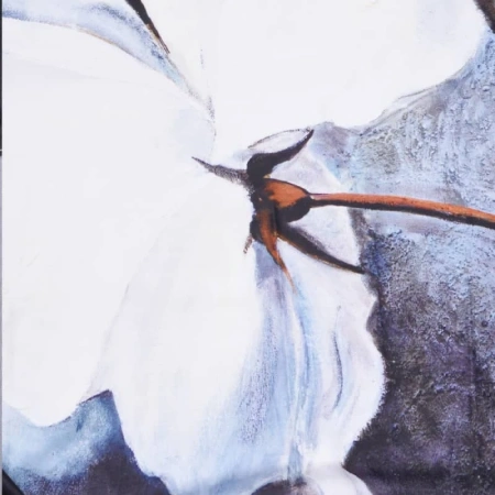 Штора для ванной WasserKraft Ammer SC-70102