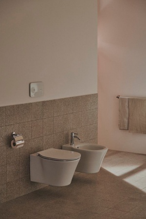 Смеситель для биде Ideal Standard Ceraline BC197AA Хром